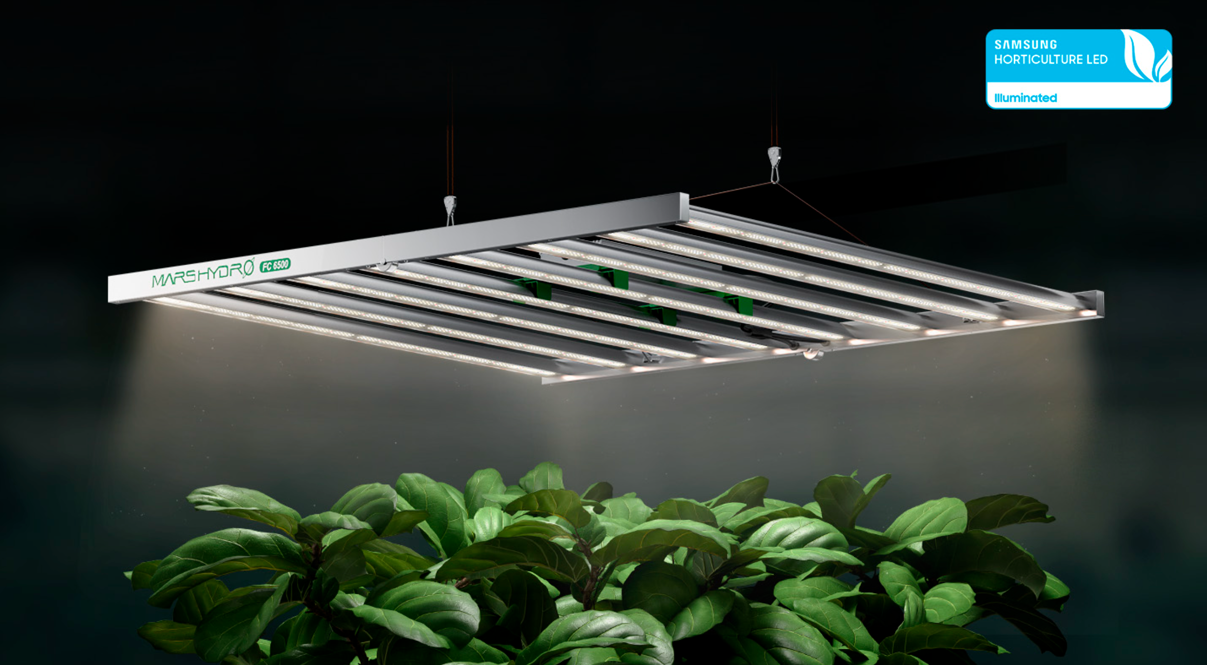 旧型MARS HYDRO FC-6500植物育成グロウライト 旧型MARS HYDRO FC-6500植物育成グロウライト