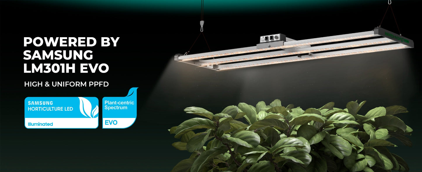 2024モデル MARS HYDRO FC4000-EVO 320W 照射範囲120cm × 60cm (iConnect対応)