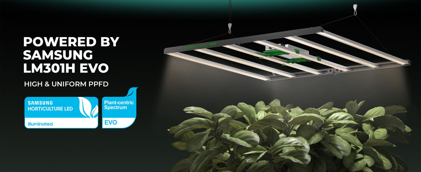 2024モデル MARS HYDRO FC6500-EVO 730W 照射範囲150cm × 150cm (iConnect対応)