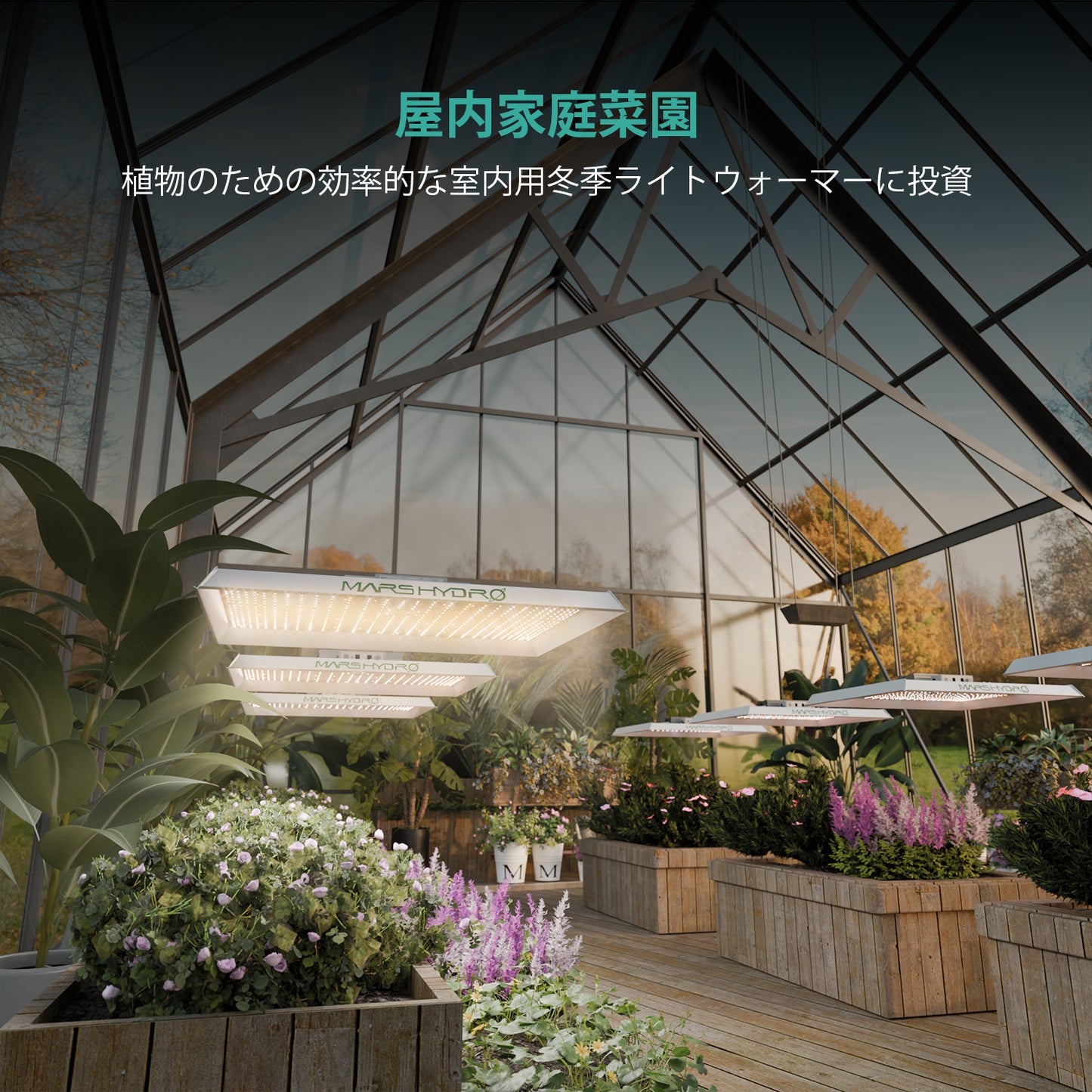 2024モデル MARS HYDRO TSW2000 (範囲120×120cm / 300w)