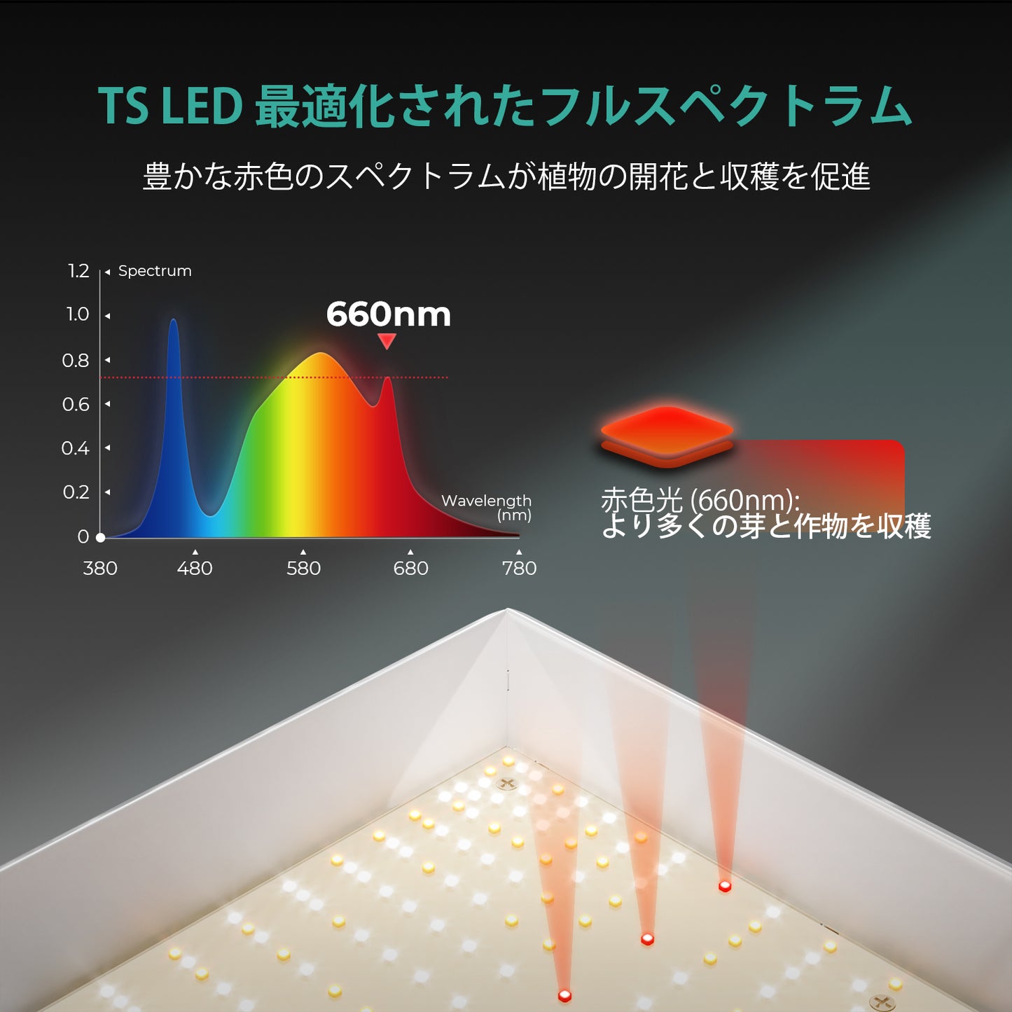 2024モデル MARS HYDRO TSW2000 (範囲120×120cm / 300w)