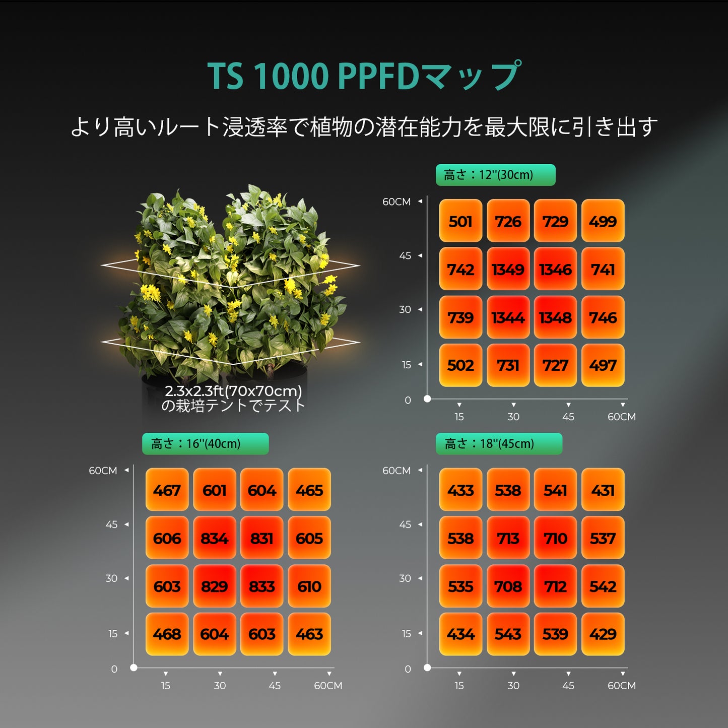 2024モデル MARS HYDRO TS1000 (範囲60×60cm / 150w)