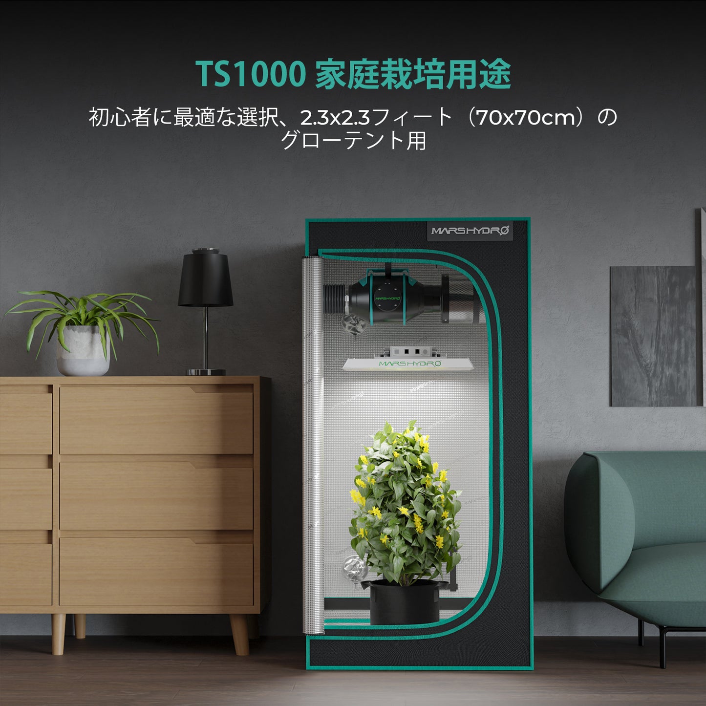 2024モデル MARS HYDRO TS1000 (範囲60×60cm / 150w)