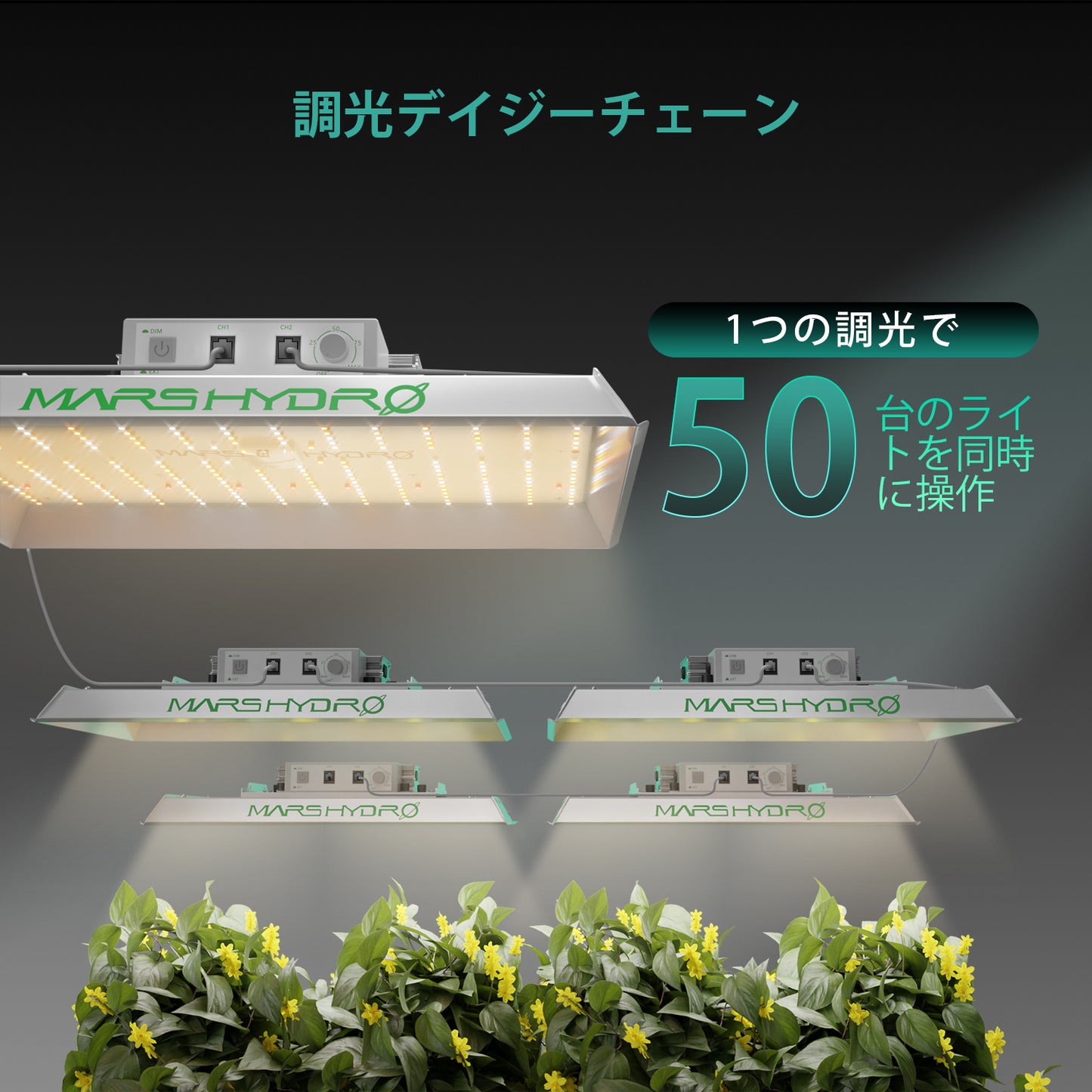 2024モデル MARS HYDRO TS1000 (範囲60×60cm / 150w)