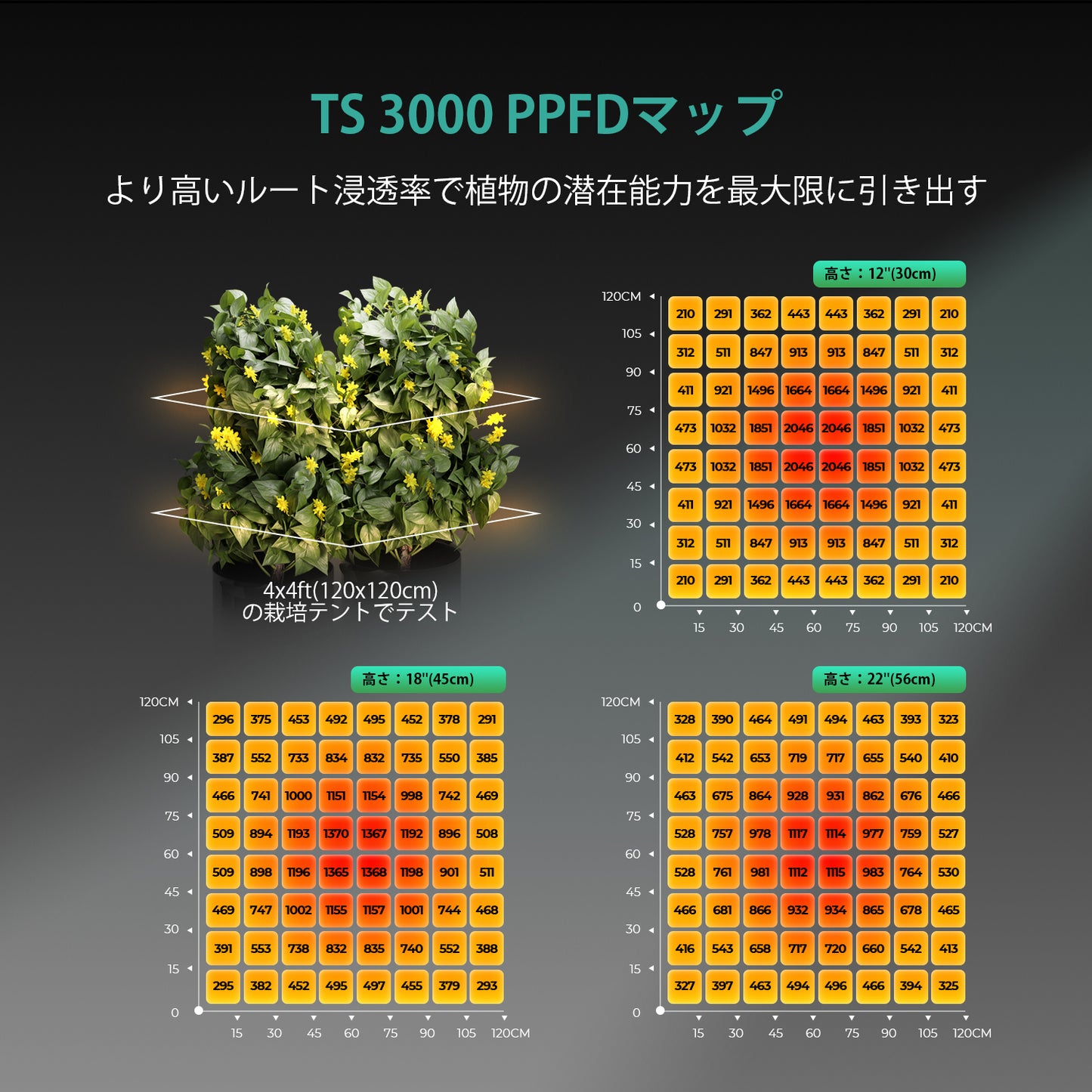 2024モデル MARS HYDRO TS3000 (範囲120×120cm / 450w)