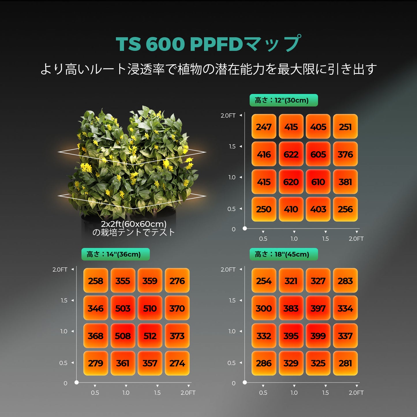 2024モデル MARS HYDRO TS600 (範囲60×60cm / 100w)調光機能無し