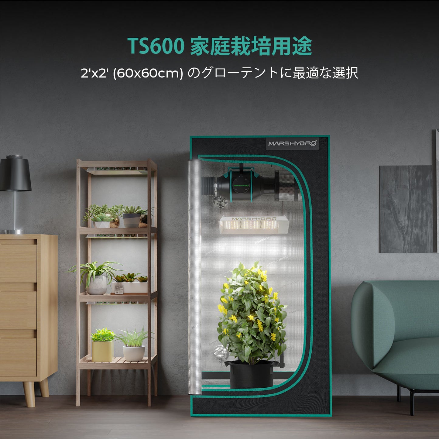 2024モデル MARS HYDRO TS600 (範囲60×60cm / 100w)調光機能無し