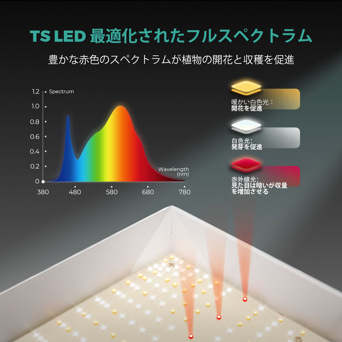 2024モデル MARS HYDRO TS600 (範囲60×60cm / 100w)調光機能無し