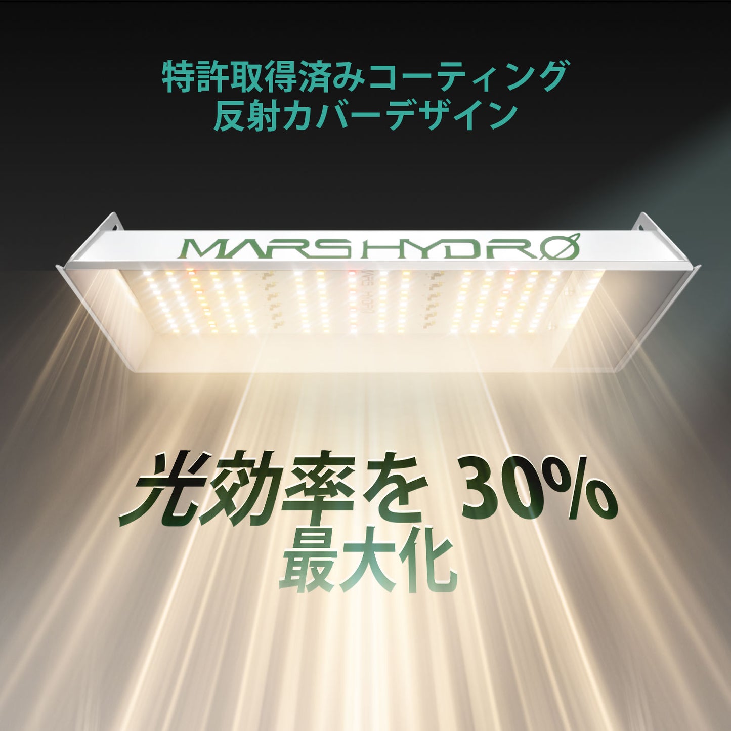 2024モデル MARS HYDRO TS600 (範囲60×60cm / 100w)調光機能無し