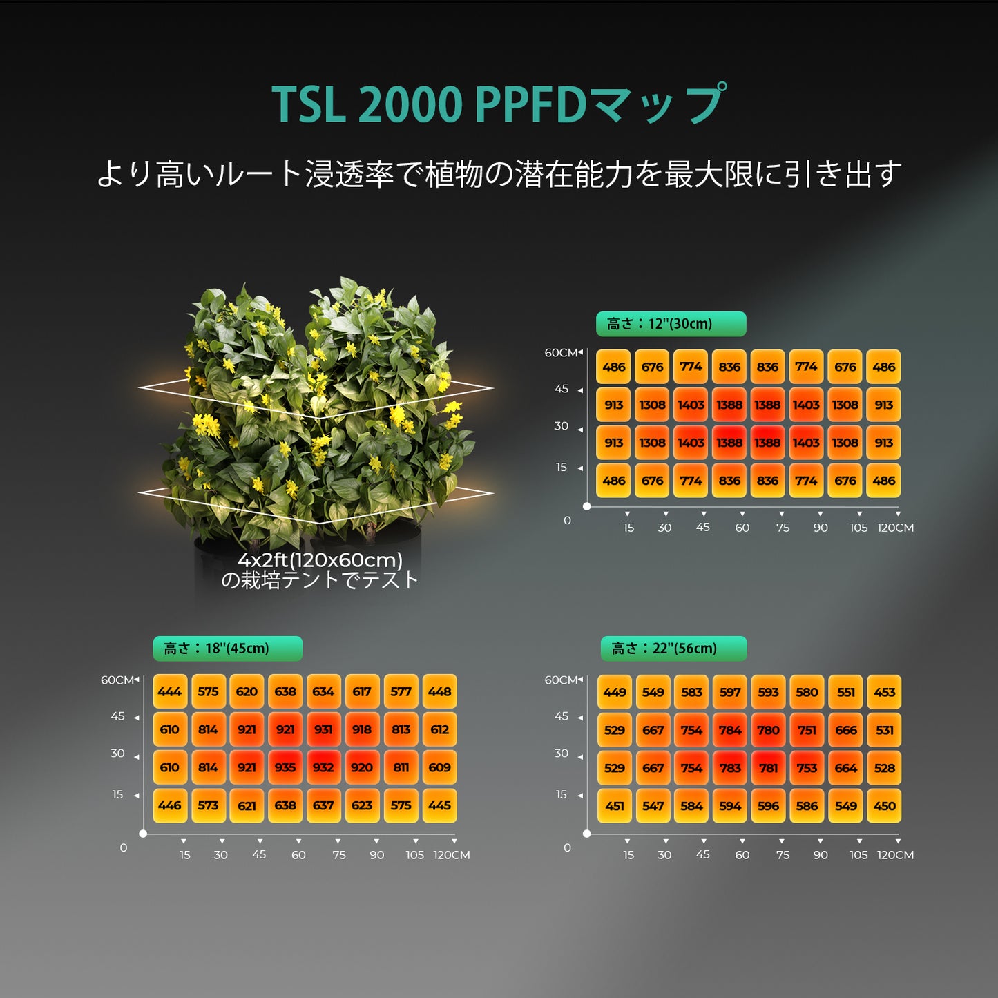 2024モデル MARS HYDRO TSL2000 (範囲60×120cm / 300w)
