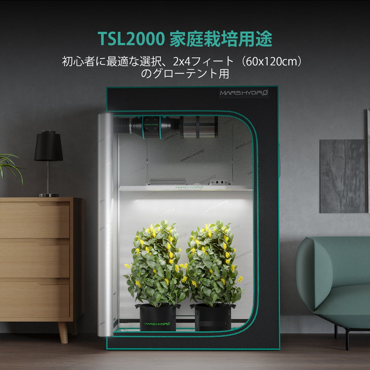 2024モデル MARS HYDRO TSL2000 (範囲60×120cm / 300w)