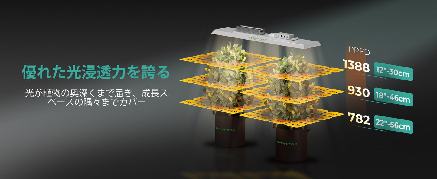 2024モデル MARS HYDRO TSL2000 (範囲60×120cm / 300w)