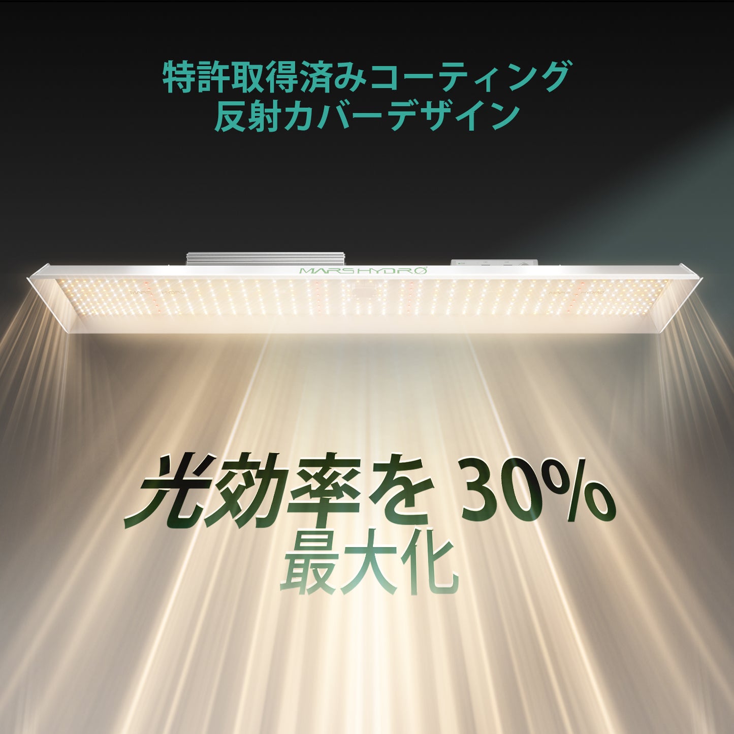 2024モデル MARS HYDRO TSL2000 (範囲60×120cm / 300w)