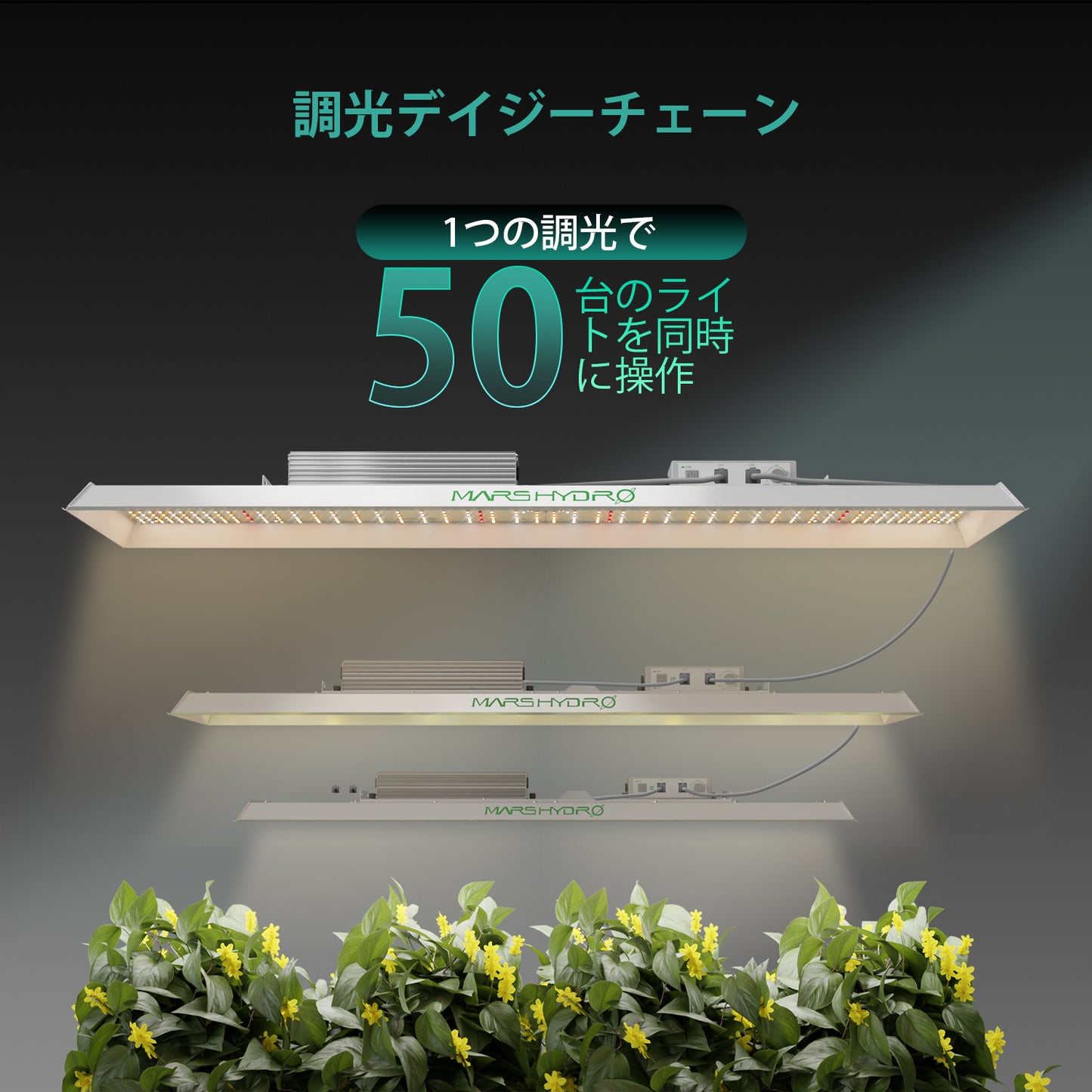 2024モデル MARS HYDRO TSL2000 (範囲60×120cm / 300w)