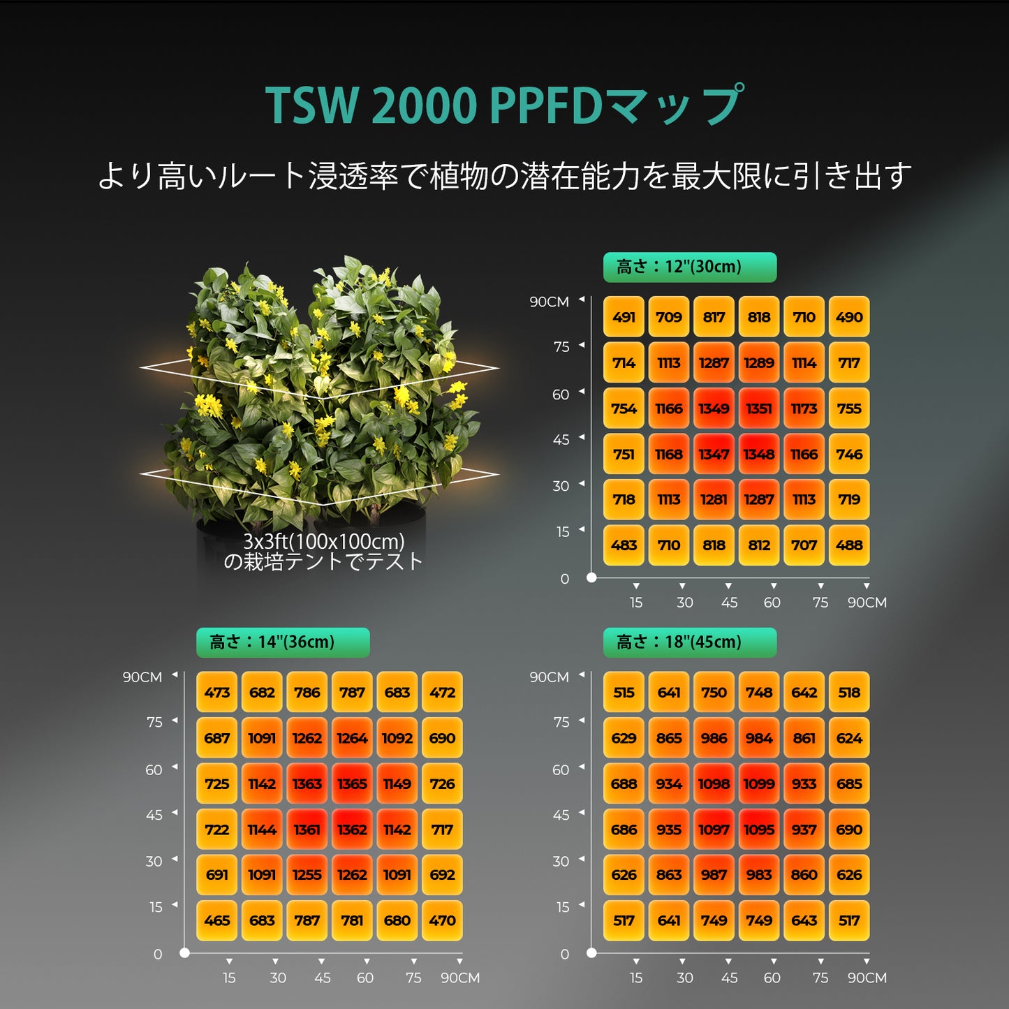 2024モデル MARS HYDRO TSW2000 (範囲120×120cm / 300w)