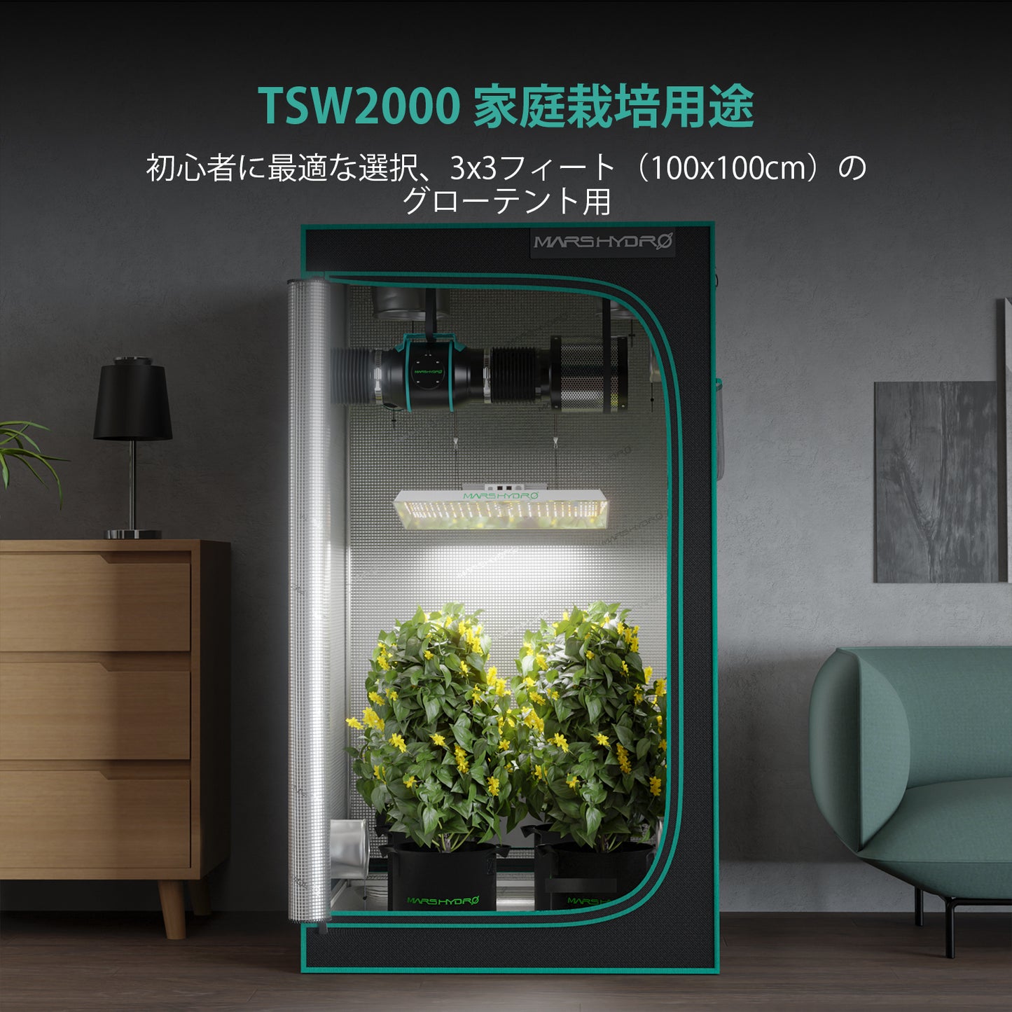 2024モデル MARS HYDRO TSW2000 (範囲120×120cm / 300w)