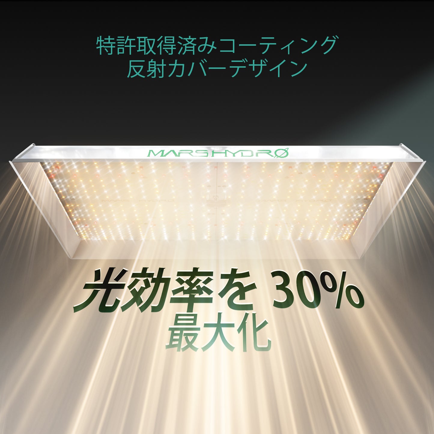 2024モデル MARS HYDRO TSW2000 (範囲120×120cm / 300w)