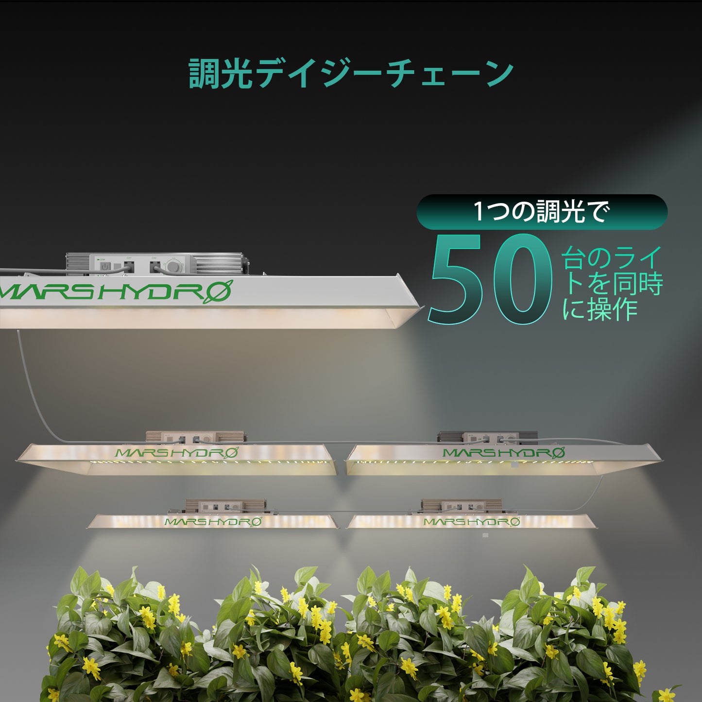 2024モデル MARS HYDRO TS3000 (範囲120×120cm / 450w)