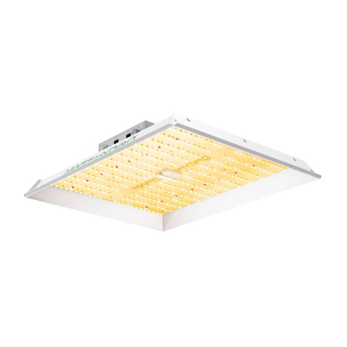2024モデル MARS HYDRO TS1000 (範囲60×60cm / 150w)