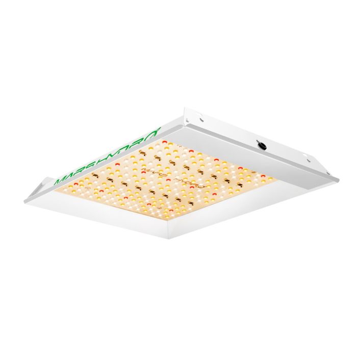 2024モデル MARS HYDRO TS600 (範囲60×60cm / 100w)調光機能無し
