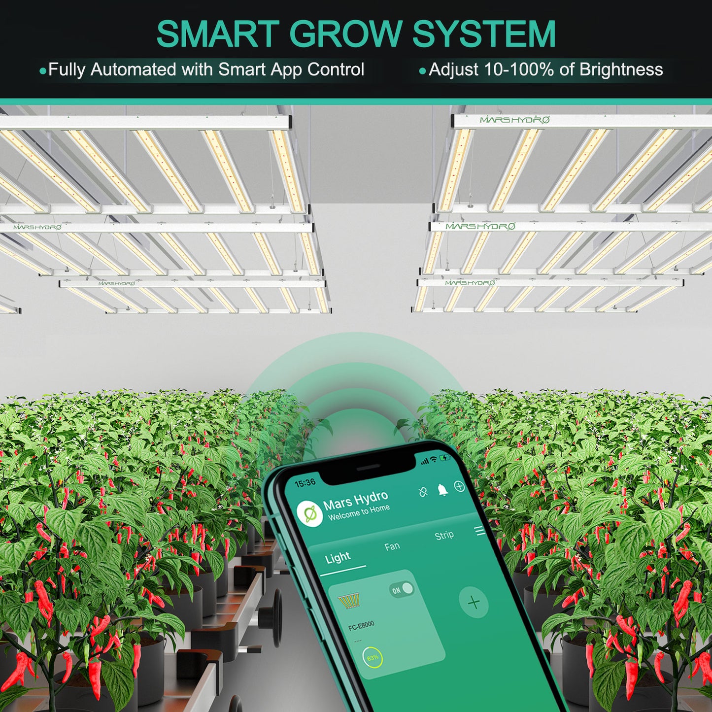 MARS HYDRO FC-E 8000 Smart System 800w 照射範囲 150 × 150cm