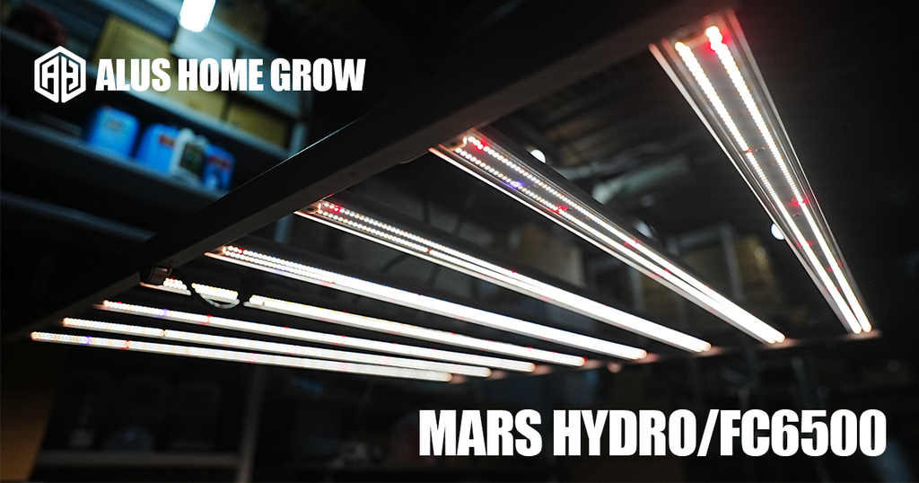 MARS HYDRO【FC 6500】