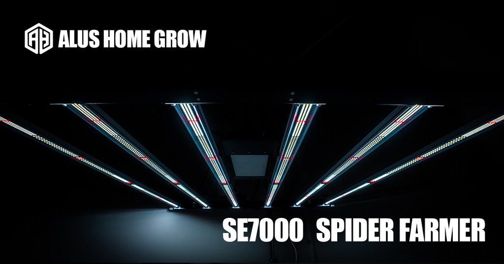 ［SE7000］SPIDER FARMER