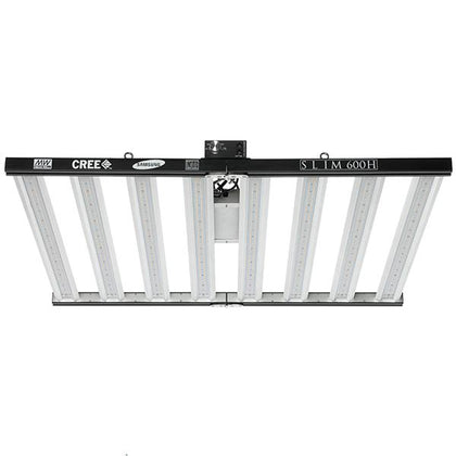 OPTIC LED LIGHT