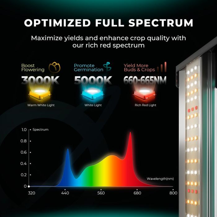 "MARS HYDRO"FC 3000 Plant Growing LED 300w 4x4