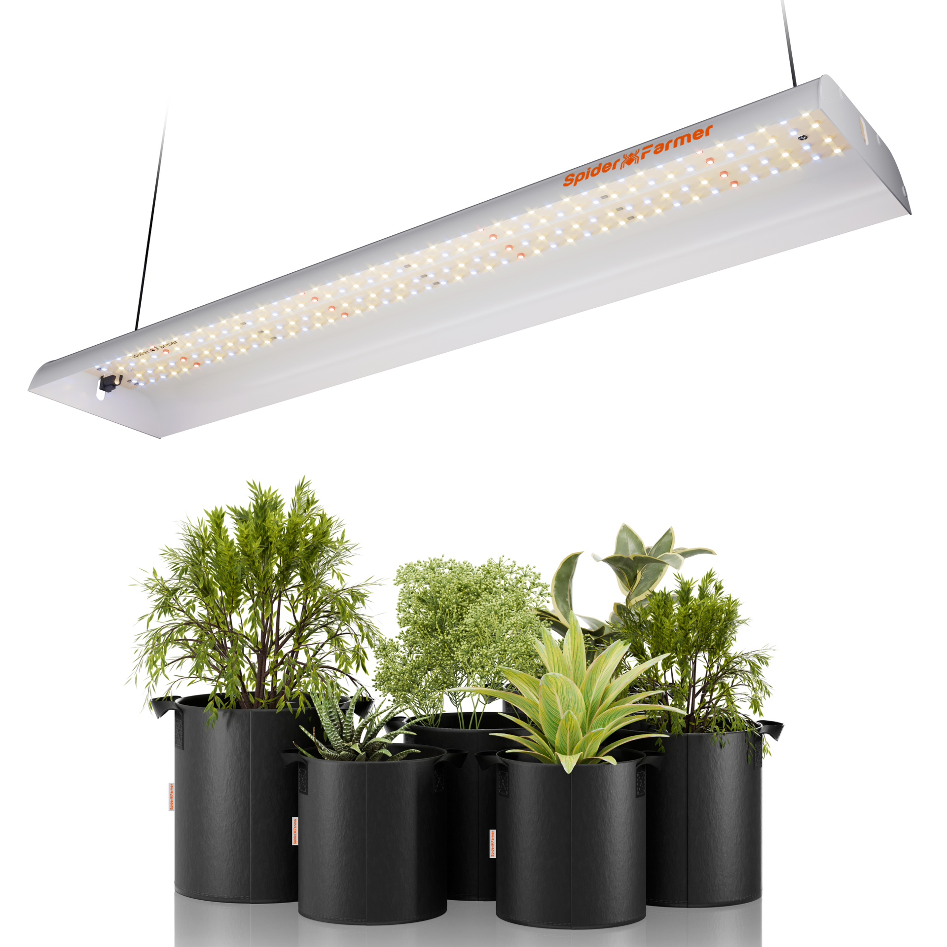 spiderfarmer SF-300 x 2 在庫処分 2024モデル SPIDER FARMER SF-300 33w 照射範囲60x60cm – ALUS HOME