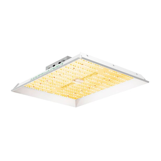 2024モデル MARS HYDRO TS1000 （範囲60×60cm / 150w）　