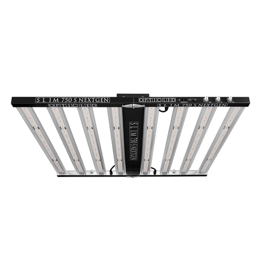 K420様専用 OPTIC Led 8+ 3ヶ月使用 美品 5 OPTIC LED LIGHT – K420様専用 OPTIC Led 8+ 3ヶ月使用 美品 5 OPTIC LED LIGHT –